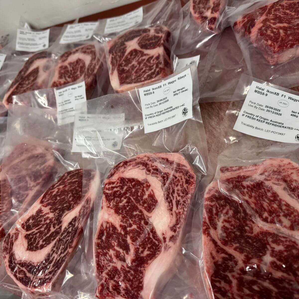 Halal Wagyu Beef Ribeye MBS 8-9 - Image 2
